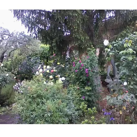 Bed & Breakfast Corelli & Company Rose Musica E Libri Santa Marta