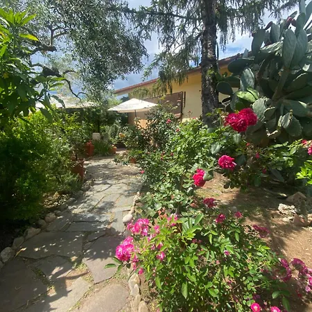 Bed & Breakfast Corelli & Company Rose Musica E Libri 3*
