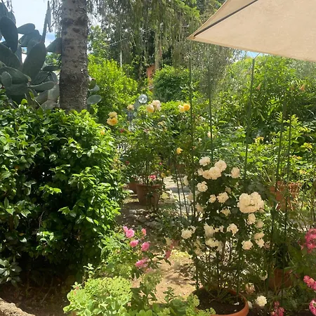 Bed & Breakfast Corelli & Company Rose Musica E Libri